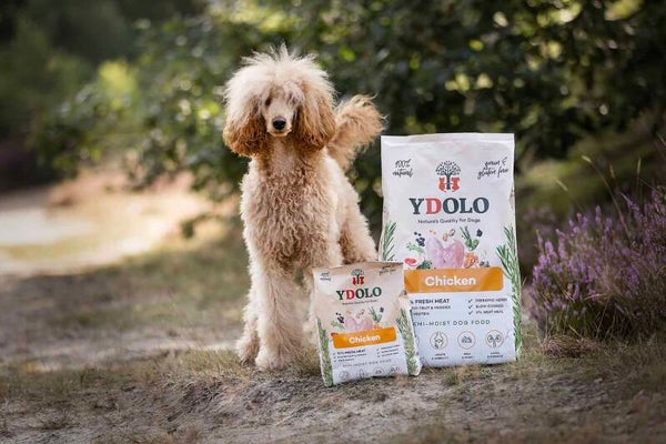 Ydolo Healthy & Fresh – Chicken 10kg