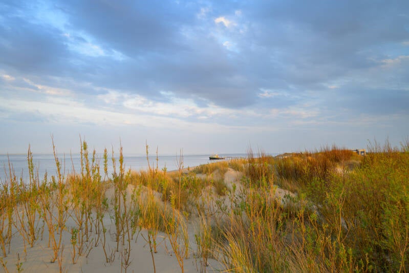 Het waddenveer tussen Texel en Vlieland, de Vriendschap, gezien vanuit de duinen.