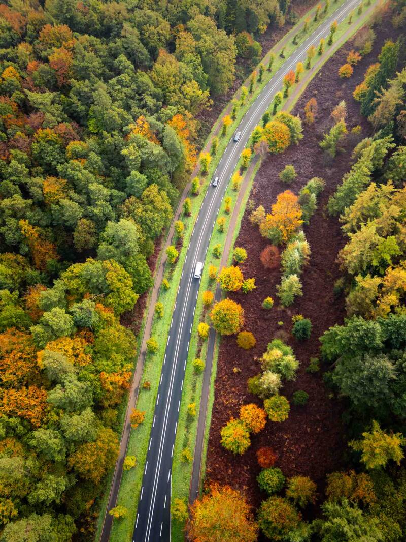 Top down aerial photograph of bending road through an autumn forest