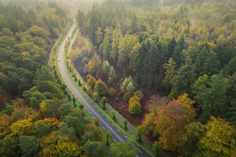 Drone photograph of a curved road through a forest in autumn tones.