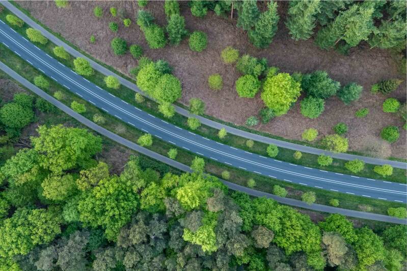 Top down drone photo of a road through a forest in fresh spring tones