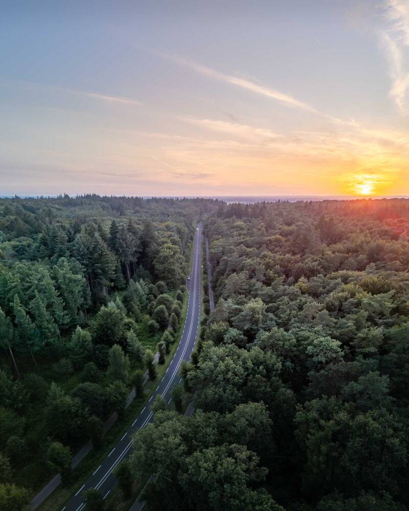 Summer drone photograph of a forest road with the setting sun on the horizon