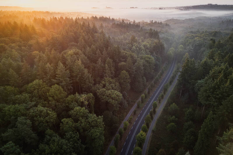 Aerial landscape photo of a road  cutting through an early autumn forest during sunrise and fog on the horizon