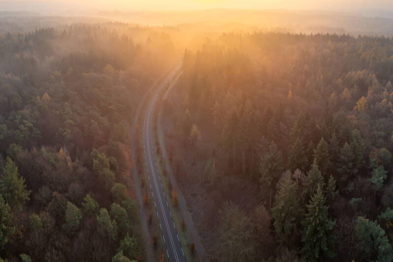 Moody drone photograph of an autumn forest road during sunrise in moody tones