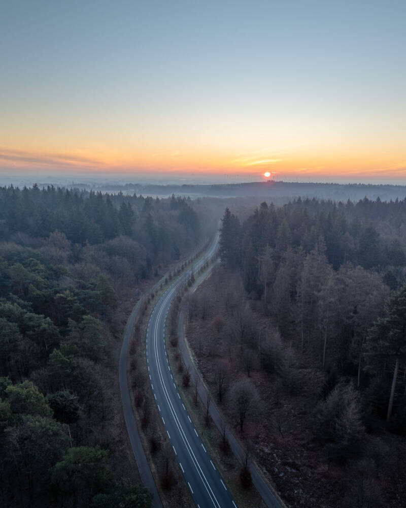Moody aerial photograph of a curving road through a forest during winter