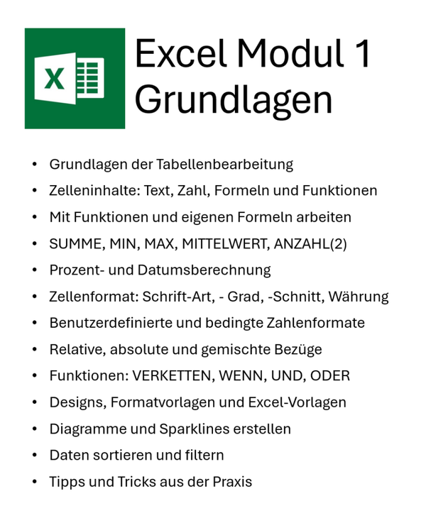 Excel Modul 1