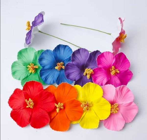 Hibiscus Sei's
