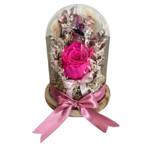 Forever fuchsia rose in a glass dome