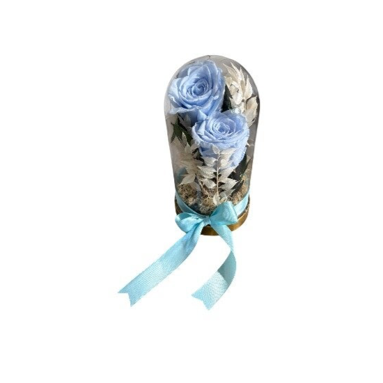 2 light blue forever roses in a dome