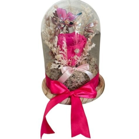 Forever fuchsia rose in a glass dome (2)