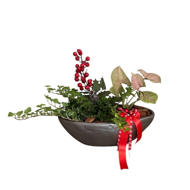 Greenery in a pot with Christmas decoration