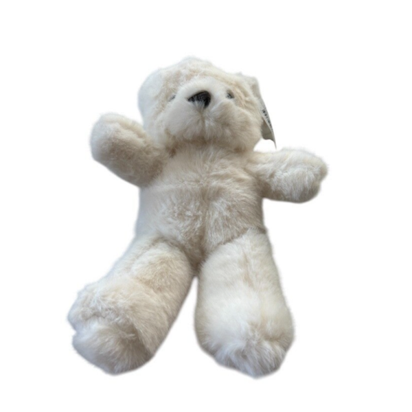 White teddy 30cm