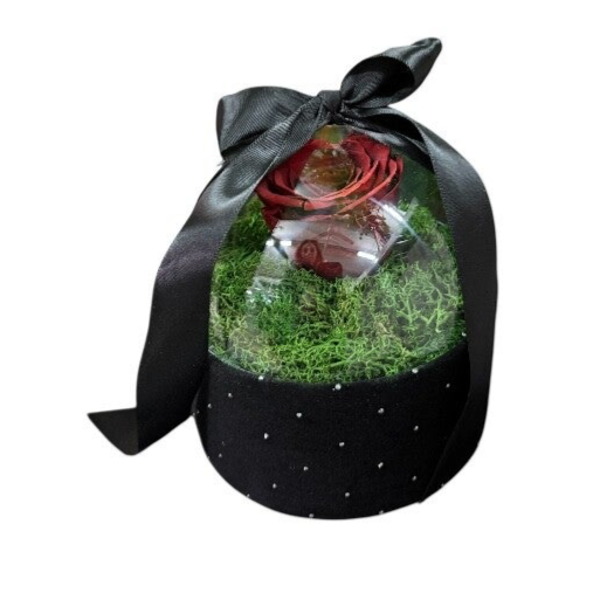 Forever rose on a black velvet box with strass