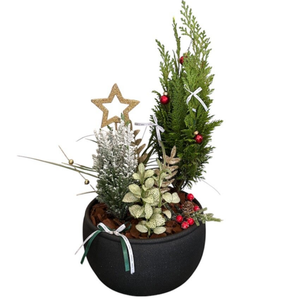Plant arrangement in a round pot with Christmas decoration