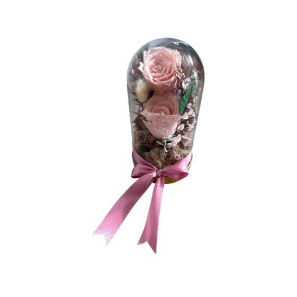 2 light pink forever roses in a dome