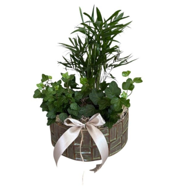 Plant arrangement in a round green ceramic pot