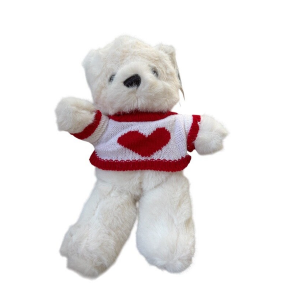 White teddy 30cm with heart jacket