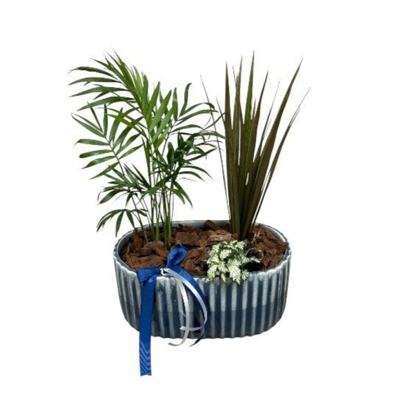 Plant arrangement in blue ceramic pot