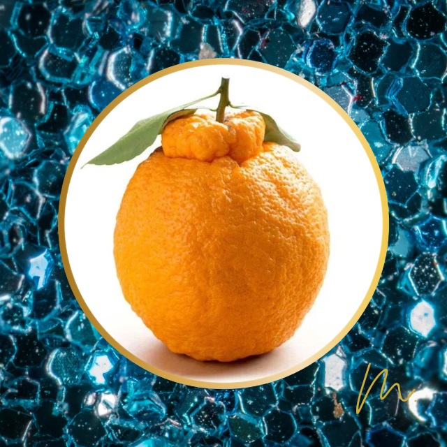 Citrus Shiranui (Dekopon)