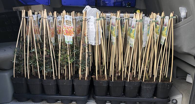 Nieuwe Voorraad 2021!