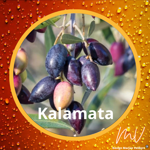 Collectie Olijfplanten