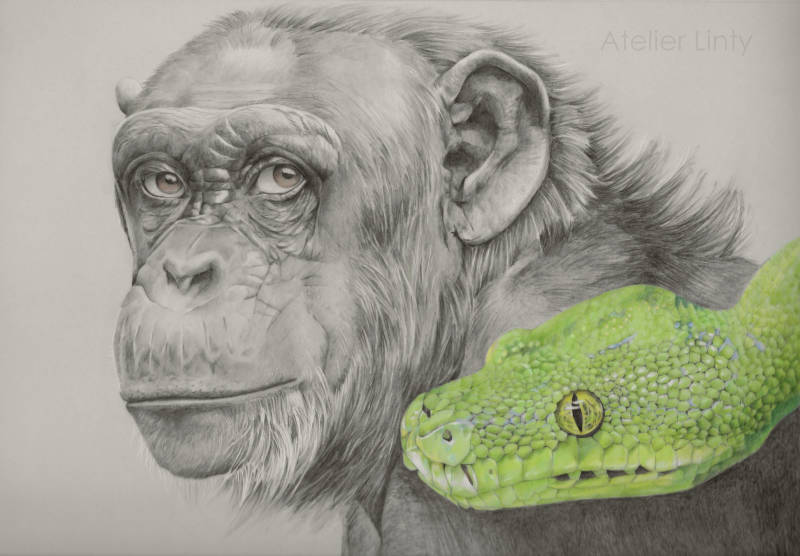 Eva meets Darw kleurpotlood tekening