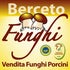 BERCETOFUNGHI