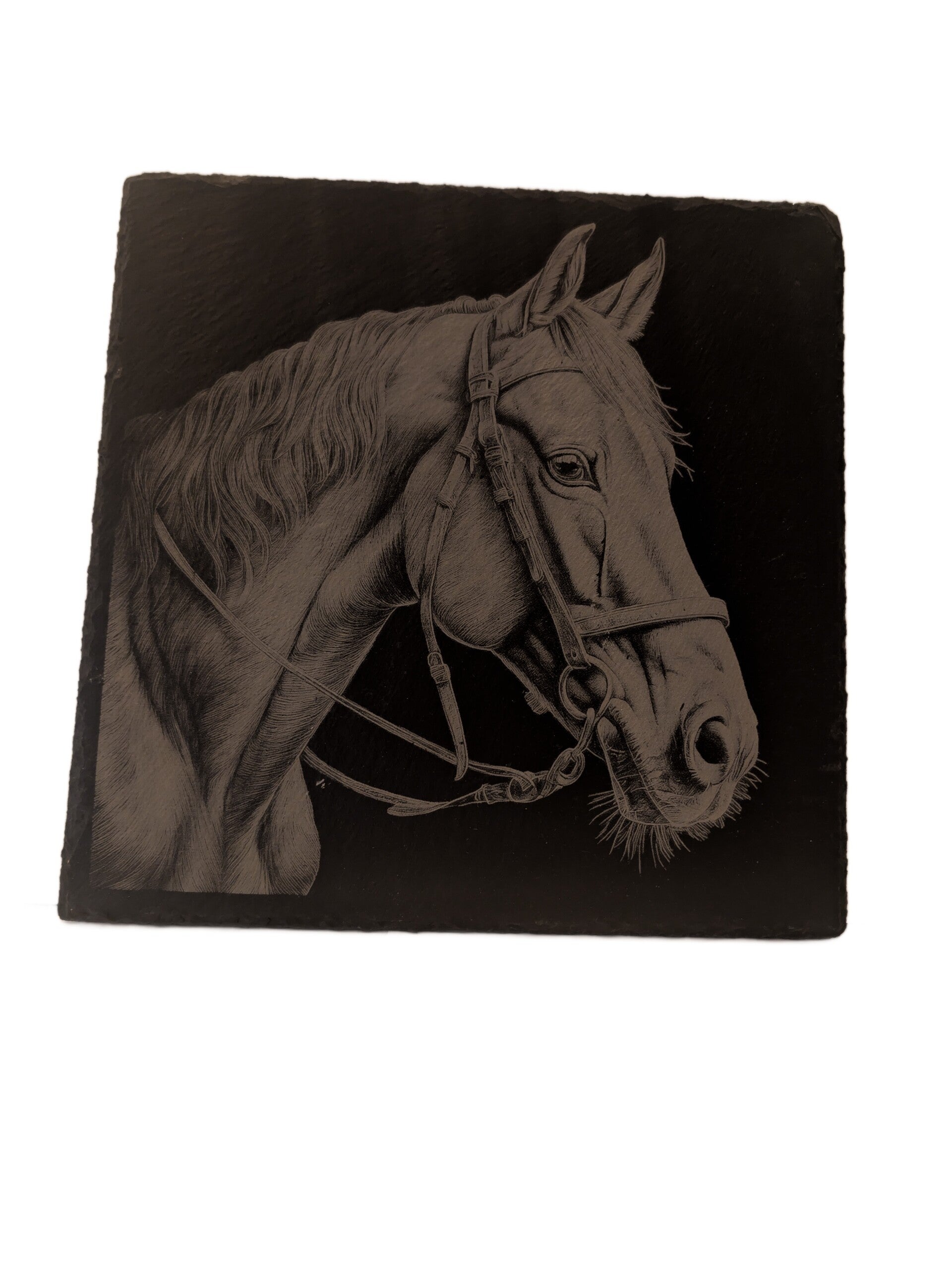 Leisteen foto  Paard (gedetailleerde gravure)