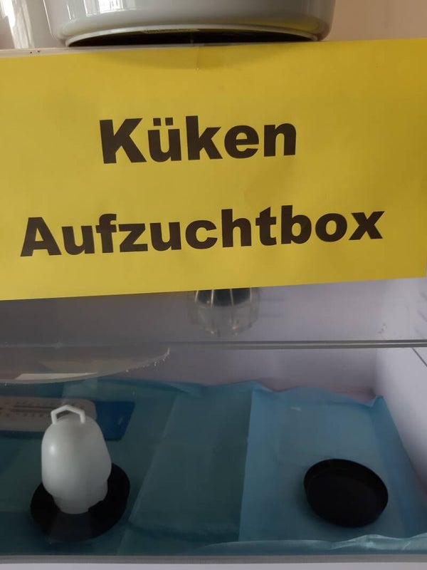 Kükenaufzuchtbox
