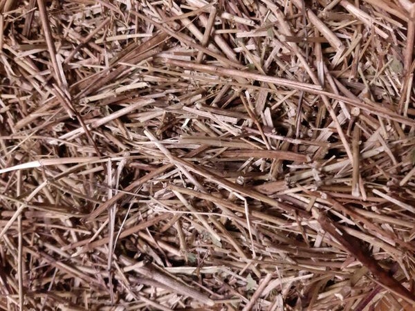 Oreganostiele 1 kg