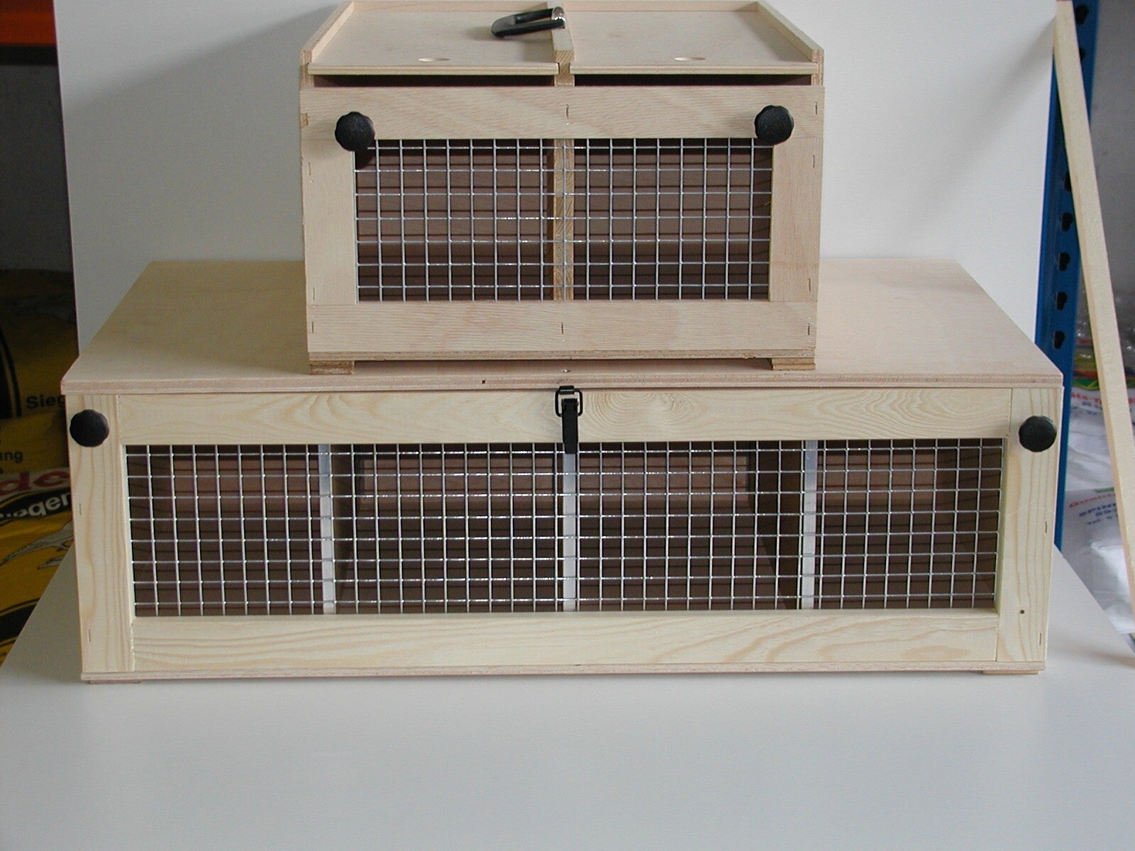 Vierer Transportkiste für Kaninchen mittel Rassen