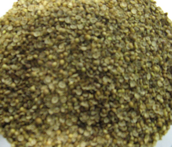 Koriander 1 kg