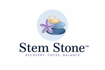 www.StemStoneNola.com