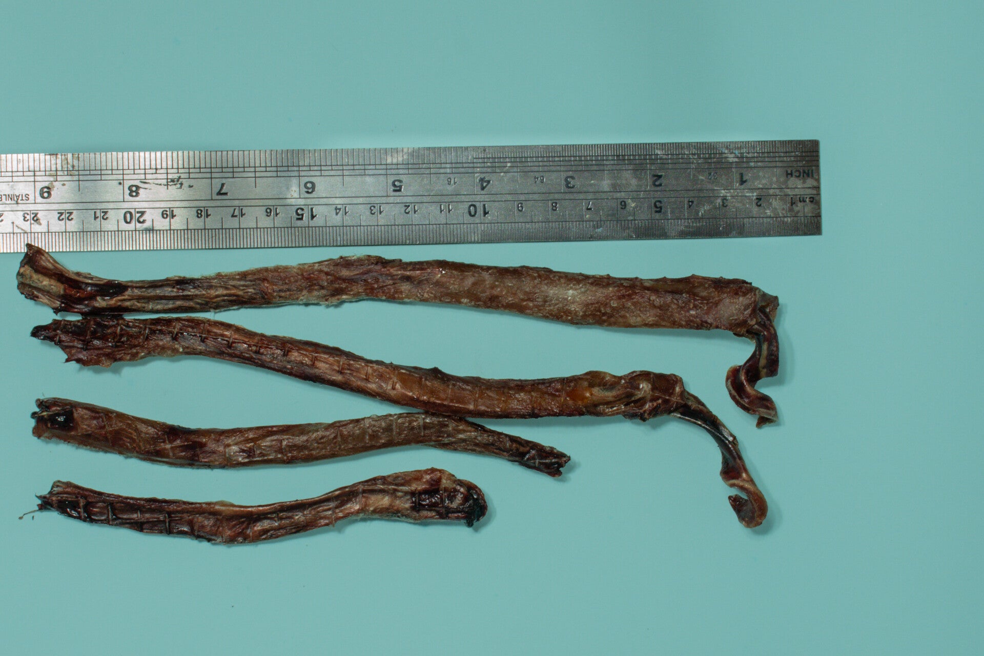 Pork bully stick
