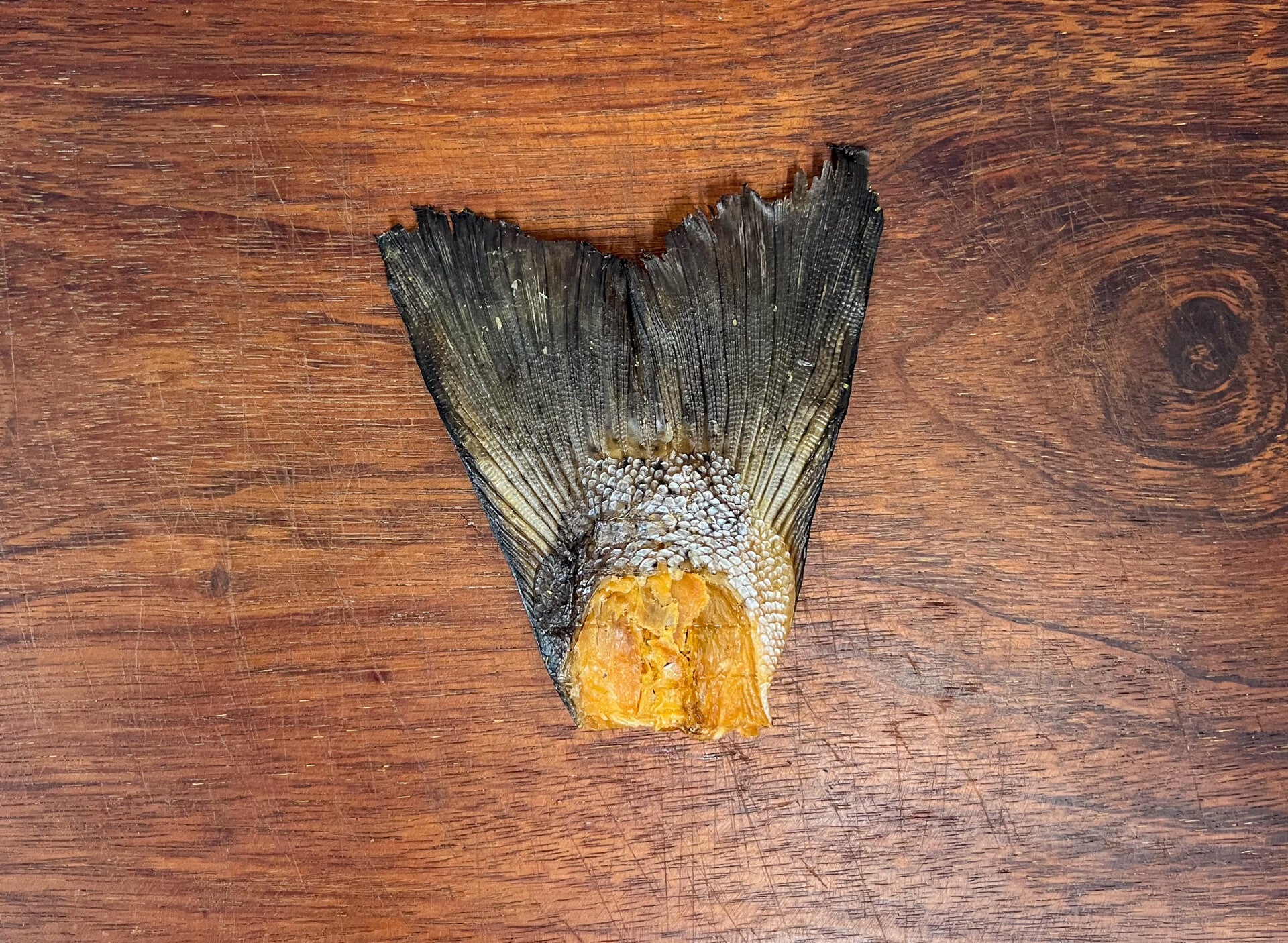 Salmon tail