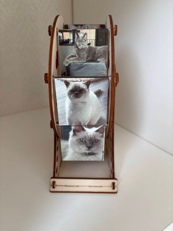 Foto rad