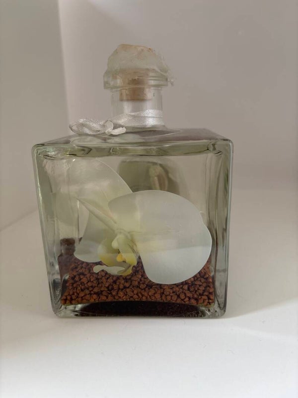 Olielamp vierkant