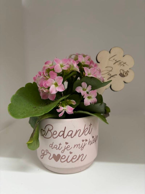 Bloempotje