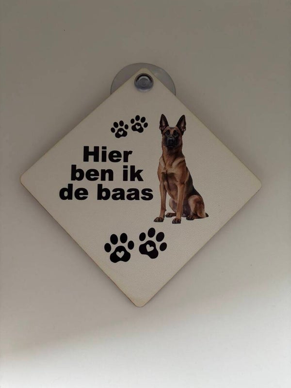 Hier ben ik de Baas