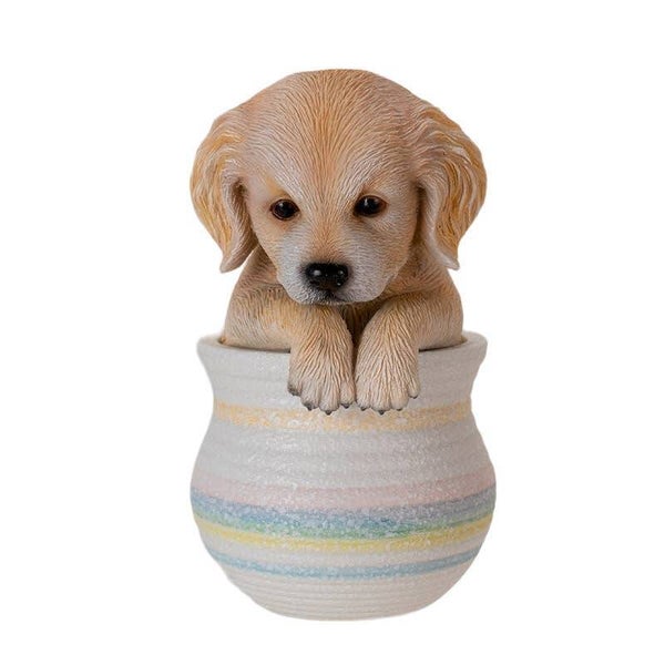 Golden Retriever in pot
