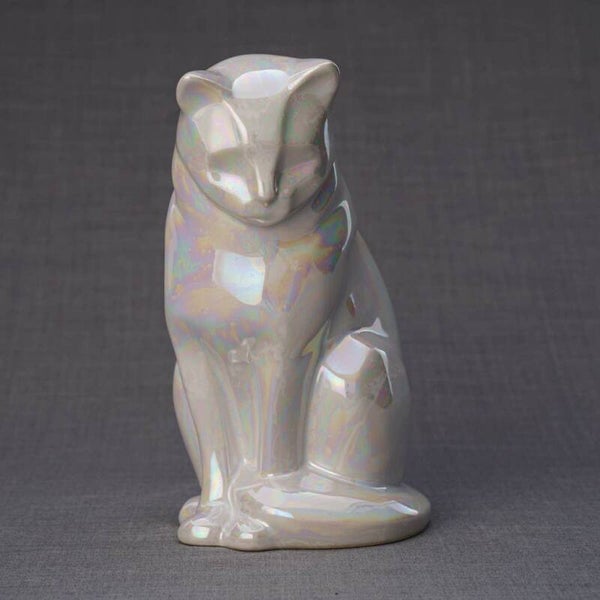 Urn kat wit parelmoer