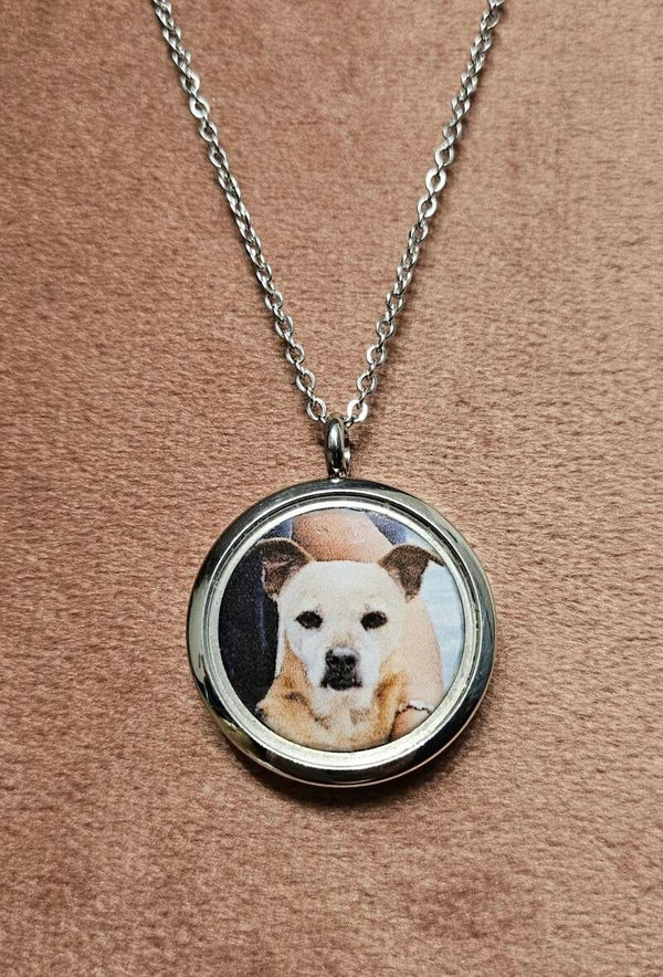 Foto Ketting voor Huisdiervacht