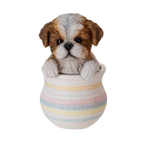 Shih tzu in pot
