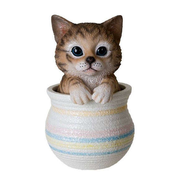 Grijze Cyperse kat in pot