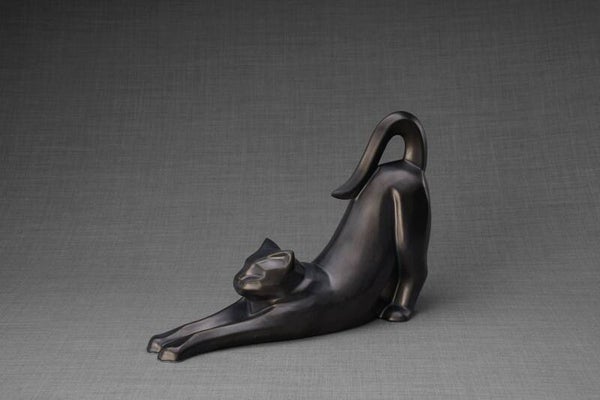 Urn uitstrekkende kat