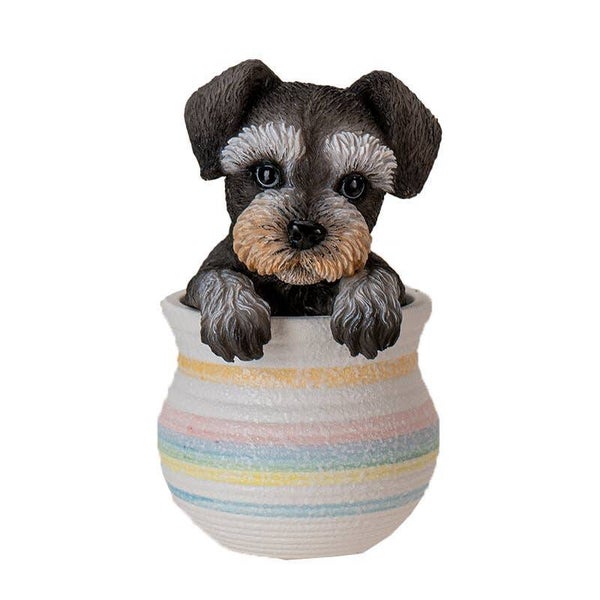 Dwergschnauzer in pot