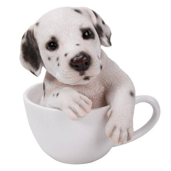 Dalmatier in theekop