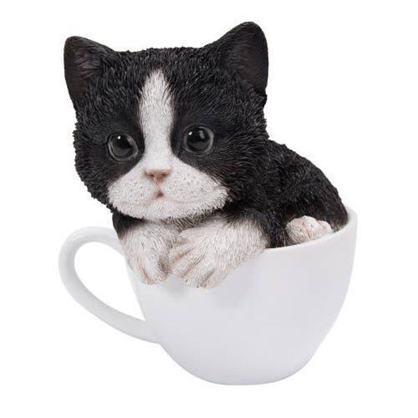 Zwart witte kat in theekop