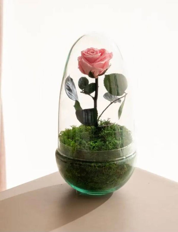 Natura Roos