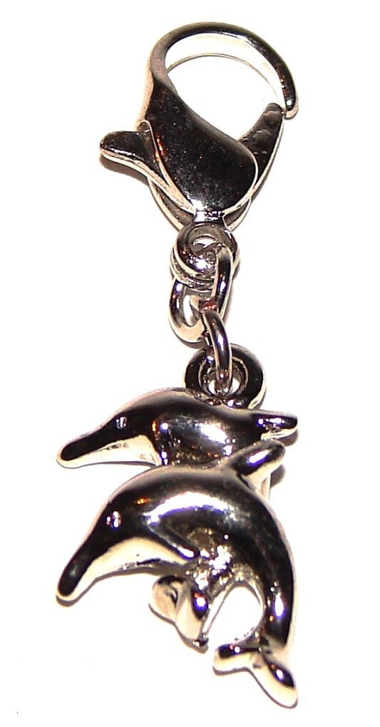 Be-Charmed Losse Charm Dolfijnx2